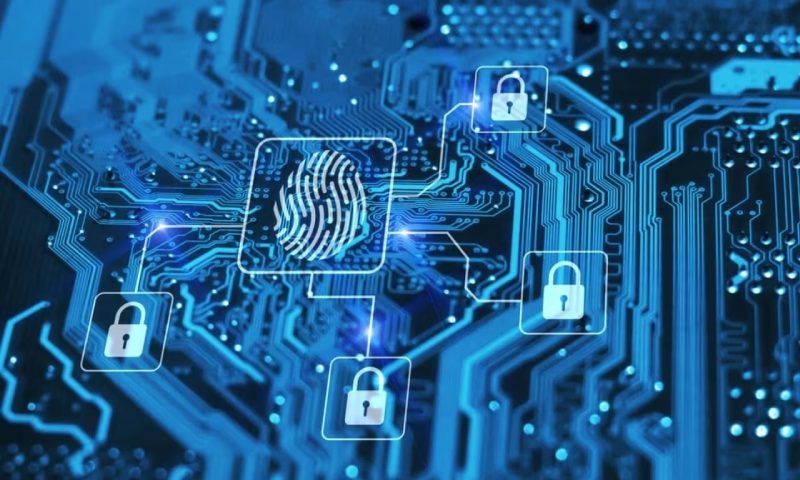 新晃小程序开发公司实力比拼：从案例口碑到技术交付的深度测评